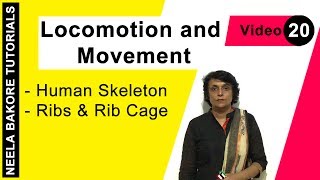 Locomotion and Movement  NEET  Human Skeleton  Ribs amp Rib Cage  Neela Bakore Tutorials [upl. by Symer185]