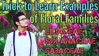 Amazing Tricks to Learn Examples of Families Solanaceae Liliaceae amp Fabaceae  NCERT Mnemonics [upl. by Nyraf]