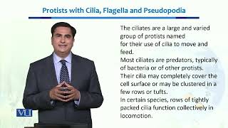 Protists with cilia Flagella amp pseudopodia  Ecology Biodiversity amp EvolutionII  BT201Topic025 [upl. by Fanchette]