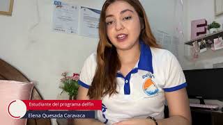 Programa Delfín Estudiantes Verano 2024 [upl. by Corin]