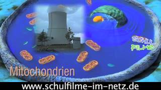 Die Zelle  Schulfilm Biologie [upl. by Ally]