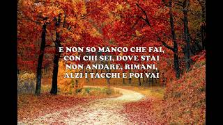 CAPO PLAZA  NON FARE COSÌ Lyrics  Lyrics for you [upl. by Illah]