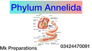 Phylum Annelida  The Segmented Worms  General Characteristics and Classification  MK Preparations [upl. by Arikahc26]