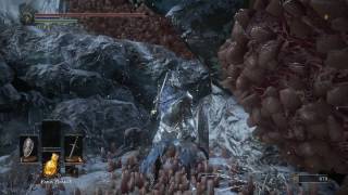 Dark Souls lll Ashes of Ariandel  Large Fly Combat amp Shriving Stone Location Undo Weapon Infusion [upl. by Ailin147]