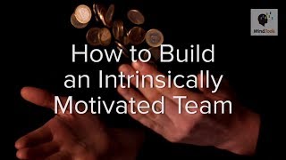 How to Build an Intrinsically Motivated Team [upl. by Xuagram]