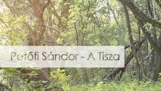 Petőfi Sándor  A Tisza [upl. by Sabino]