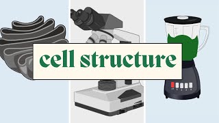 Cell Structure  AQA A Level Biology including Required Practical [upl. by Larret801]