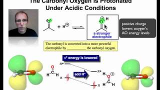 Factors that Influence Carbonyl Reactivity [upl. by Ondrej]