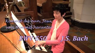 Bach BWV 650 Kommst du nun Jesu vom Himmel herunter バッハ 汝イエスよ 今天より降りたもうや シュープラーコラール集 [upl. by Airottiv]