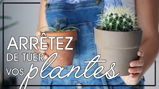 Comment arrêter de tuer vos plantes dintérieur  mes conseils de base [upl. by Ynatsyd651]