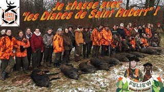 Deux saisons avec les quotDianes de Saint Hubertquot chasse en battue avec les chasseresses [upl. by Oicanata]