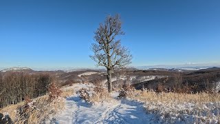 Skalnatá Čmelok  Zimná prechádzka v Malých Karpatoch [upl. by Schonfield]