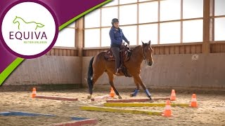 Westernreiten Training für das erste Turnier [upl. by Jacobsohn]