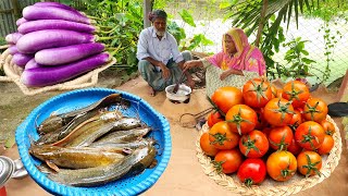 Kumra Bore Begun Tomato Diye Deshi Magur Macher Jhol Ranna Brinjal Tomato With Country Catfish Curry [upl. by Ilecara]