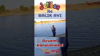 Jelibonla 52 CM Balık Yakaladım fishing balık canlıyem balıkavı fish deniz tekirdağ [upl. by Redford]