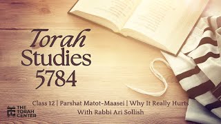 Torah Studies 5784  12  MatotMaasei Why It Really Hurts  Rabbi Ari Sollish [upl. by Laband]