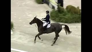 WIHS Top 10 Jump Offs McLain Ward amp Sapphire [upl. by Jeffries]