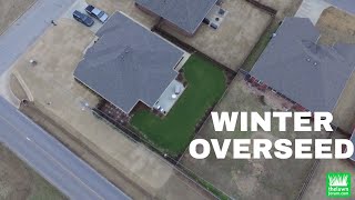 Wares Winter Overseed Drone Footage [upl. by Ayhdnas]