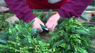 Wilsons Garden Center How To Make A Fresh Greens Wreath [upl. by Lodovico]