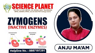 Zymogens Inactive Enzymes Explain by Anju Mam of Science Planet [upl. by Rosa]