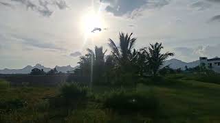 Sold out 5 lakhs DTCP land per cents Near Nagercoil total 25 cents available ct8056301281 [upl. by Ahserb]