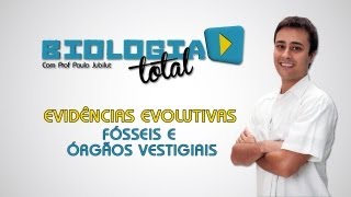 Evidências Evolutivas  Fósseis e Órgãos Vestigiais  Prof Paulo Jubilut [upl. by Ymia]