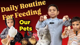 Daily Routine For Feeding Our Pets  ہم اپنے پرندوں اور پالتو جانوروں کو کیا دیتے ہیں ؟ [upl. by Lletnuahs]