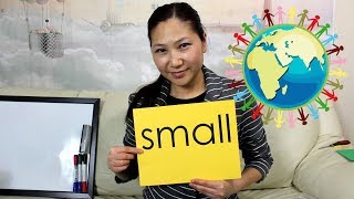 Learning Time Read amp Spell Sight Words quotSmallquot  Teaching Video [upl. by Anilegna]