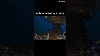 My brain when studying letmeseeyoudoit memes [upl. by Casilda]