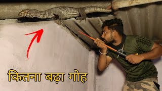 गोहरा की ऐसी हरकत देख कर आप भी हैरान रह जाएंगे Rescue Monitor Lizard rescue lizard [upl. by Ribal644]