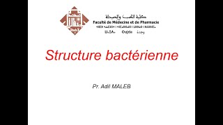 Structure bactérienne [upl. by Glassman711]