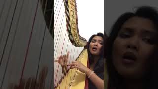 Kiss Me  Sixpence None The Richer COVER harp [upl. by Mccartan]