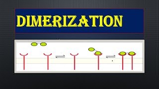 DIMERIZATION part1 [upl. by Llyrad738]