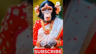 Sirapuram Gatla Naduma SongFolk SongsShortsViralTreandingMonkey [upl. by Dinan]