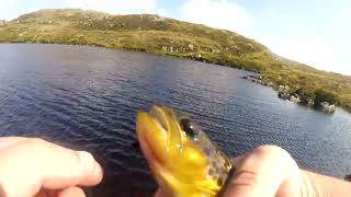 Loch Girvan Eye Ayrshire Scotland Flyfishing 31st August 2024 [upl. by Nah]