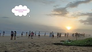 Varkala Beach  Papanashini Beach  Kerala [upl. by Sammie785]