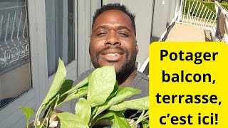 Comment faire un potager balcon et terrasse [upl. by Nairot]