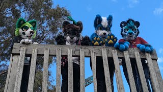 North Alphington Fur Meet  Furry Meet Vlog [upl. by Zetneuq]