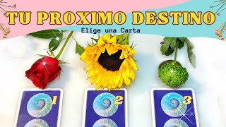 ¿Hacía Donde Va Tu Vida  Elige una Carta ✨ Tarot Interactivo [upl. by Harli]