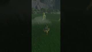 Getting My First Horse zelda botw breathofthewild nintendo nintendoswitch [upl. by Dorthea73]