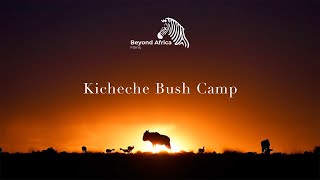 Kicheche Bush Camp  Masai Mara  Wildlife Viewing at its Best [upl. by Bertrand]