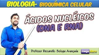 Ácidos Nucléicos DNA e RNA com dicas de memorização Material na descrição [upl. by Ackerley]