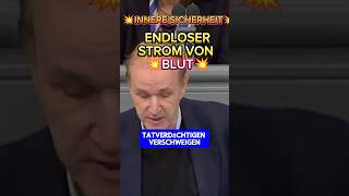 💥ZAHL der MESSERVERLETZUNGEN EXPLODIERT💥 afd bsw cdu ampel politik bundestag kriminalität [upl. by Emmi]