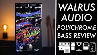 LowEnd Reviews  Walrus Audio Polychrome Flanger Bass Demo [upl. by Carew77]