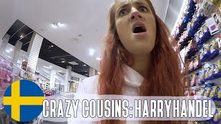 CRAZY COUSINS 0408  HARRYHANDEL VLOG [upl. by Audly919]