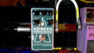 REVIEW Catalinbread Adineko Oil Can Delay [upl. by Cynar672]