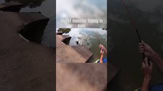 There was a swamp puppy hiding up in here youtuber fishing ponds fish blackops1 d [upl. by Snej]