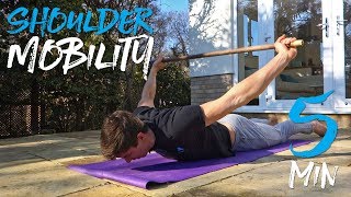 5 Minute Upper Body Mobility Routine FOLLOW ALONG [upl. by Eliades]