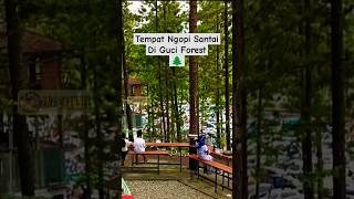 Wisata Guci Forest Tegal‼️ subscribe gucitegal guciforest wisata shorts nuansabali [upl. by Janelle]