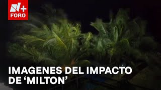 Así se sienten los fuertes vientos por huracán Milton en Celestún Yucatán  Las Noticias [upl. by Weitzman]